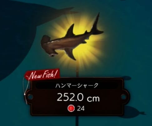 アンジェリカアスター